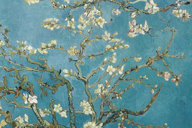 Van Gogh Museum Amsterdam Private Guided Tour With Admission - Entering the museum: how your guide sets the story