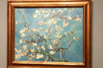 Van Gogh Museum, Rijks Museum & Walking Tour - Private Day Tour - Rijksmuseum: Dutch Masters in One Focused Circuit