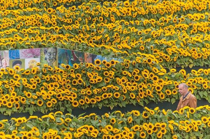Van Gogh Museum Skip the Queue with Audio Guide - Van Gogh Museum for Families: Strollers, Kids, and Getting Past Screen Time