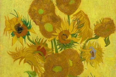 Van Gogh Museum Ticket with Audio Guide and Unlimited Access Time - Van Gogh’s Masterpieces Plus the Influences Around Him