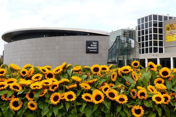 Van Gogh Museum Ticket with Audio Guide and Unlimited Access Time - Photography, Café Breaks, and the Shop Inside