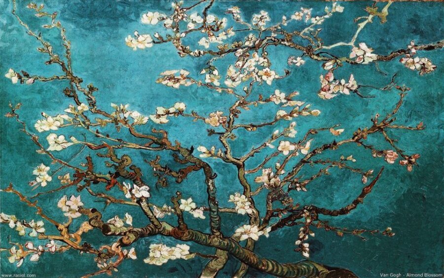 Van Gogh & Rijksmuseum Masterpieces Guided Tour 8 guests 5h - Price and value: what $281 buys you in Amsterdam time