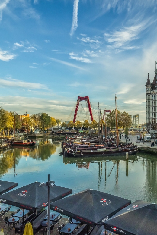 VIP Private Full Day Tour of the Netherlands - Who this tour suits best