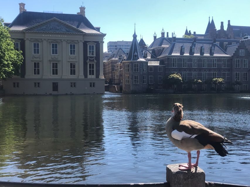 Visit the Girl with the Pearl Earring, The Hague & Delft - FAQ