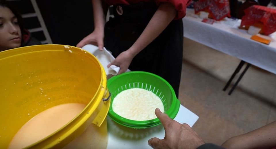 Volendam: 2.5-Hour Cheesemaking Workshop & Clog Making Tour - Key points to know before you go