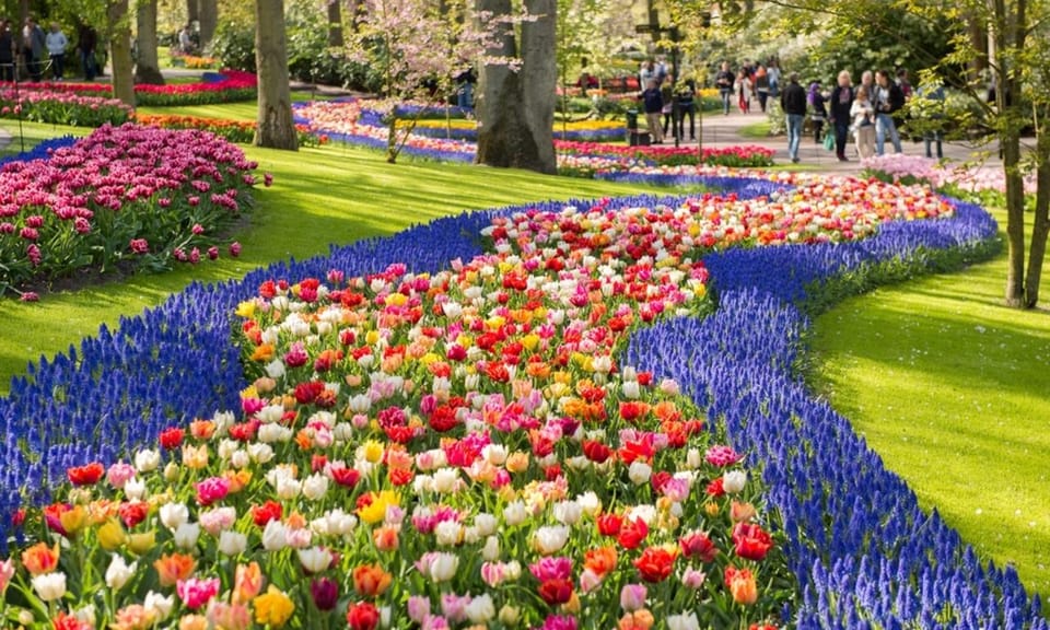Warmond: Windmill Cruise and Keukenhof Entry Ticket - Key things to know before you go