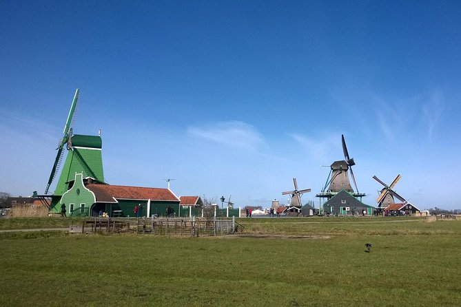 Zaanse Schans Small-Group Excursion from Zaandam - Price and value: why $41.45 makes sense for this route