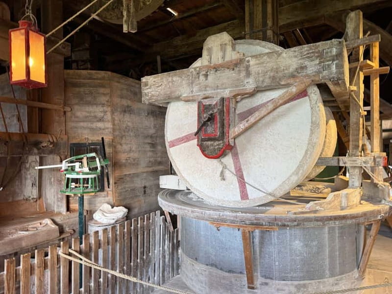 Zaanse Schans & Volendam Private Tour: Windmills and Cheese - Henri Willig Kaas BV: The Cheese-Making Craft You Can Actually Taste