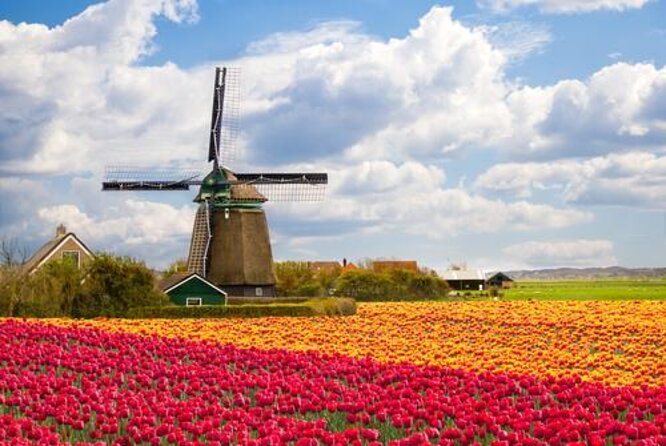 Zaanse Schans & Volendam Small-Group Tour with Hotel Pickup - Key things I’d notice before you go