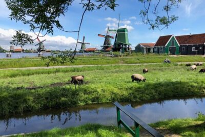 Zaanse Schans Windmills and Volendam Small-Group Tour from Amsterdam - Irene Hoeve clogs and Gouda: the farm stop that makes it real