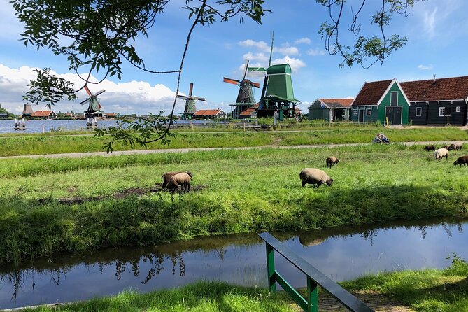 Zaanse Schans Windmills and Volendam Small-Group Tour from Amsterdam - Irene Hoeve clogs and Gouda: the farm stop that makes it real