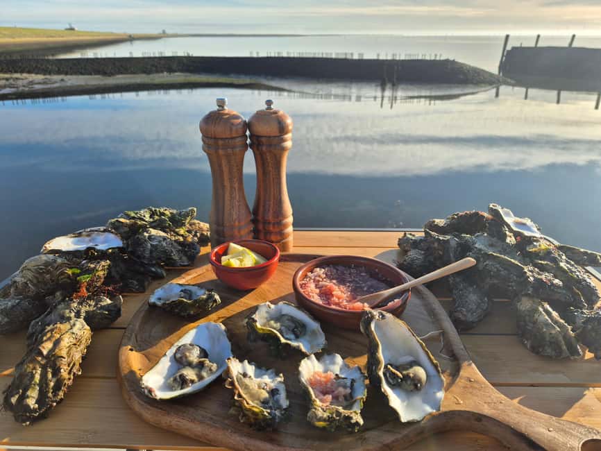 Zeeland Wild Oyster Picking Tour with drink and BBQ - Key highlights at a glance