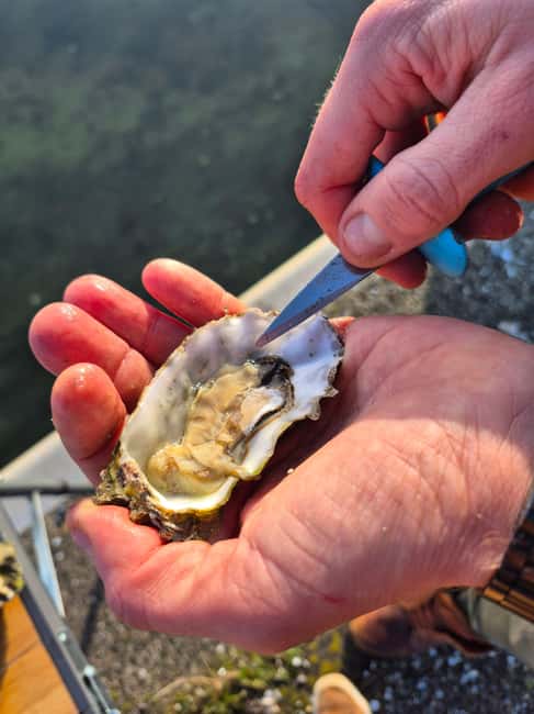 Zeeland Wild Oyster Picking Tour with drink and BBQ - Languages, group vibe, and how to handle the time limit