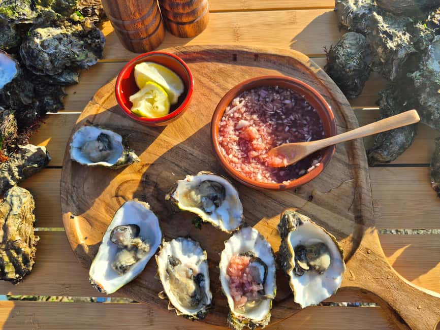 Zeeland Wild Oyster Picking Tour with drink and BBQ - Oysters in Oosterschelde: why this tour feels different