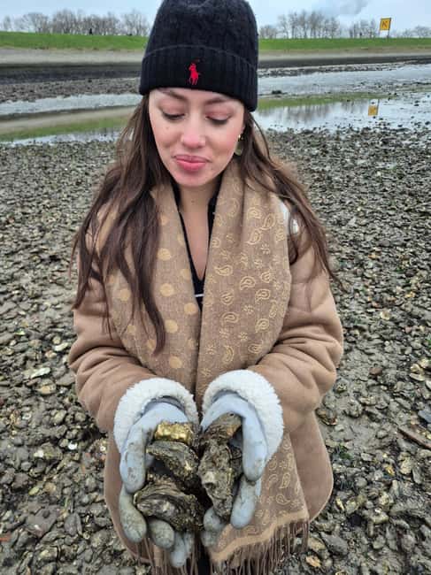 Zeeland Wild Oyster Picking Tour with drink and BBQ - From reef to plate: raw oysters, BBQ toppings, and cava
