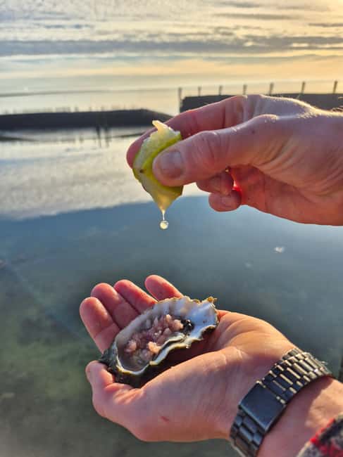 Zeeland Wild Oyster Picking Tour with drink and BBQ - BBQ oyster tasting: what to watch for when you choose your style