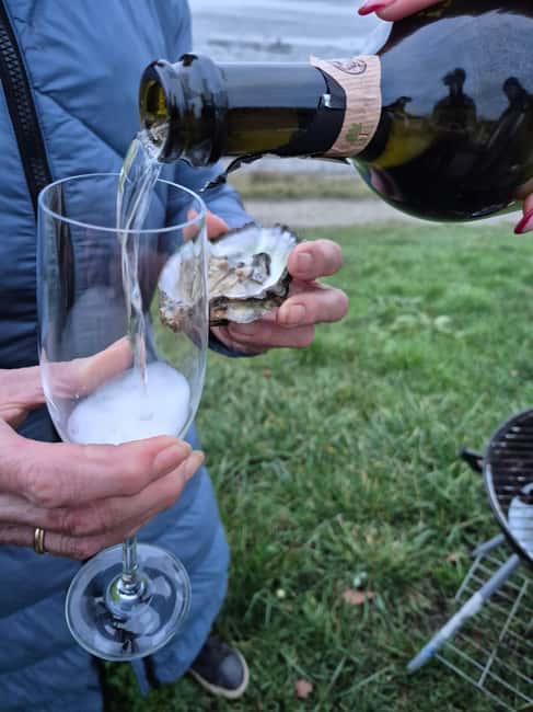 Zeeland Wild Oyster Picking Tour with drink and BBQ - Price and value: is $34 worth 2 hours of tide-and-oyster time?