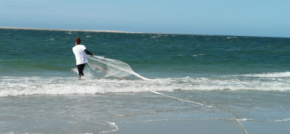 Zeeland Zeehonden strand safari NL/DE - Weather reality: when the sand changes plans