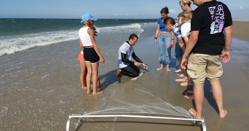 Zeeland Zeehonden strand safari NL/DE - What you bring: the packing list that actually matters on the sand